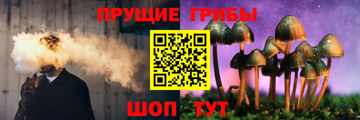 как найти закладки  Вход с VPN  Воскресенск  Галлюциногенные грибы Psilocybine cubensis 